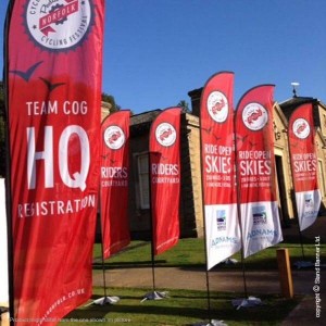 Promotional Flags